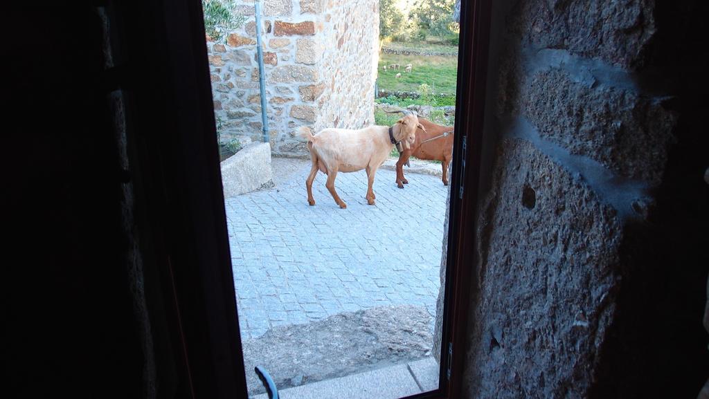 Aldeia Do Codecal Guest House Codecal  Rom bilde