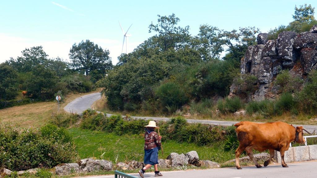 Aldeia Do Codecal Guest House Codecal  Eksteriør bilde